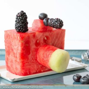 A fruit tray of an edible camera made of watermelon, blackberry, blueberry and honydew